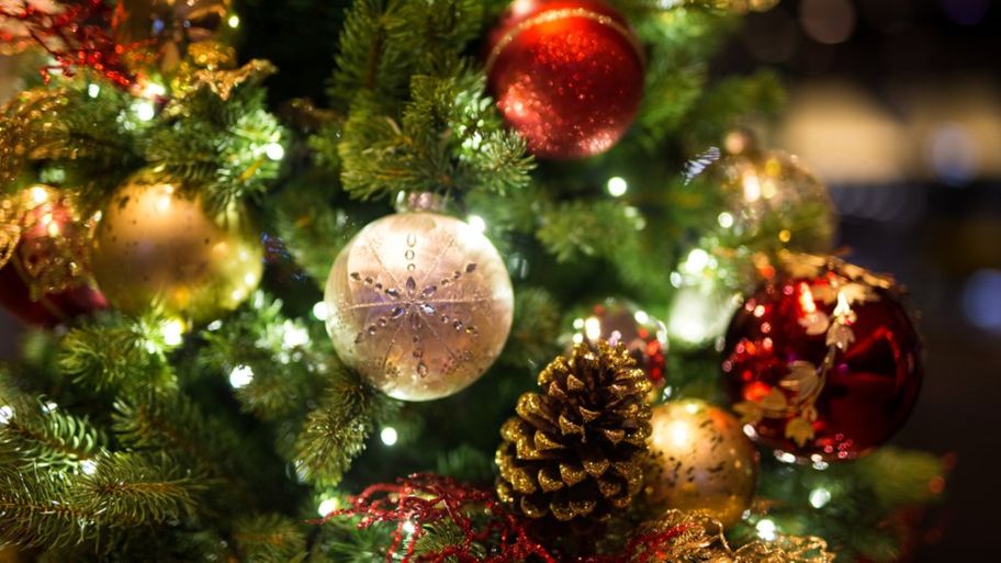 Tiger Security festive season hours for 2018 -19