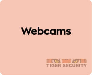 Security webcams online